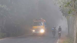 November 16/kokonnn.jfif